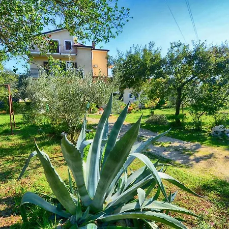Penzion With Pool Albina