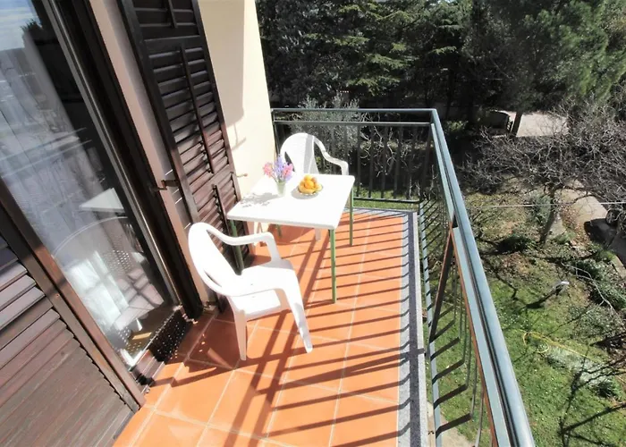 With Pool Albina Πανσιόν 4*